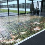 Begehbares Satellitenbild von OÖ